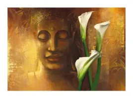 samadhi-ii-wei-ying-wu-plakat-obraz-80x60cm