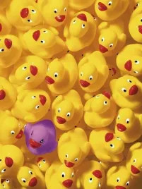 quack-quack-i-dave-brullmann-plakat-obraz-60x80cm