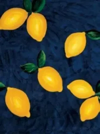 lemons-with-leaves-matthias-rachel-plakat-obraz-60x80cm