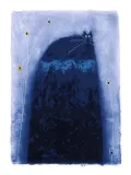 coxcombe-govinder-plakat-obraz-60x80cm