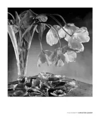 transparence-christian-coigny-plakat-obraz-60x80cm
