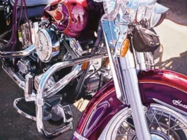 purple-bike-tamara-de-lempicka-plakat-obraz-80x60cm