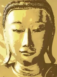 siddhartha-tasmin-phoenix-plakat-obraz-60x80cm
