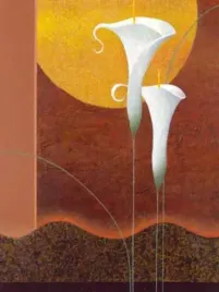 white-callas-mira-latour-plakat-obraz-60x80cm