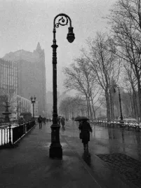 walk-in-the-rain-columbus-park-henri-silberman-plakat-obraz-60x80cm