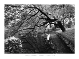 japanese-garden-henri-silberman-plakat-obraz-80x60cm