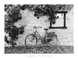 la-bicyclette-monte-nagler-plakat-obraz-80x60cm