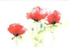 red-poppies-ii-andrea-fontana-plakat-obraz-80x60cm