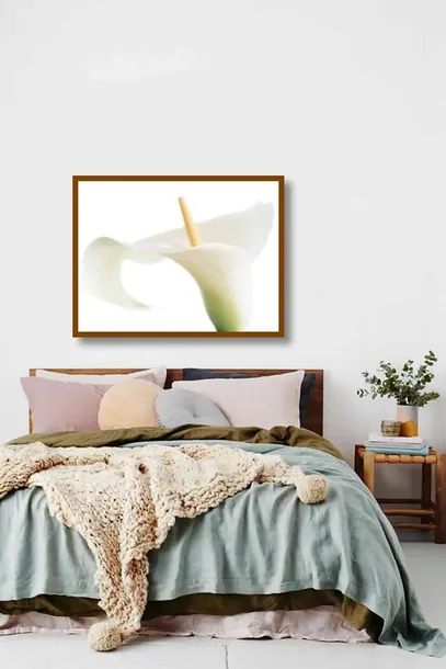 calla-on-white-den-reader-plakat-obraz-80x60cm-liczba-sztuk-1