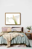 calla-on-white-den-reader-plakat-obraz-80x60cm-liczba-sztuk-1