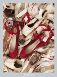 satin-shoes-harvey-edwards-plakat-obraz-60x80cm