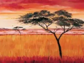 serengeti-dawn-emilie-gerard-plakat-obraz-80x60cm