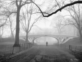 gothic-bridge-central-park-ny-henri-silberman-plakat-obraz-80x60cm