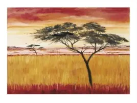 serengeti-dawn-emilie-gerard-plakat-obraz-80x60cm