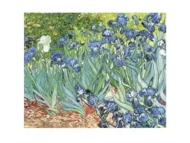 les-irys-vincent-van-gogh-plakat-obraz-80x60cm