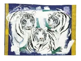 three-white-tigers-rolf-knie-plakat-obraz-80x60cm