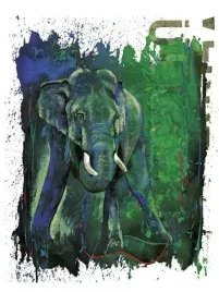 born-to-run-rolf-knie-plakat-obraz-60x80cm