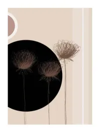 three-dandelions-on-black-circle-jo-parry-plakat-obraz-60x80cm