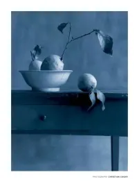 cote-sud-christian-coigny-plakat-obraz-60x80cm