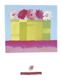 five-pink-daisies-nel-whatmore-plakat-obraz-60x80cm