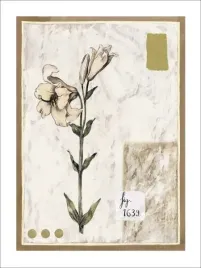 figure-1639-sylvie-chaland-plakat-obraz-60x80cm
