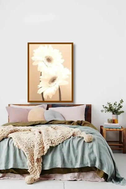 two-daisies-carol-sharp-plakat-obraz-60x80cm-liczba-sztuk-1