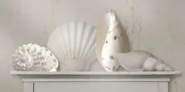 sea-shells-jan-lens-plakat-obraz-100x50cm