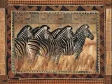 zebras-rob-hefferan-plakat-obraz-80x60cm