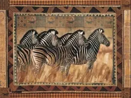 zebras-rob-hefferan-plakat-obraz-80x60cm