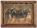 zebras-rob-hefferan-plakat-obraz-80x60cm-stan-nowy