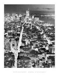 from-the-empire-state-building-wtc-henri-silberman-plakat-obraz-60x80cm