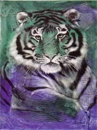 young-tiger-rolf-knie-plakat-obraz-60x80cm