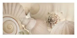 shells-i-jan-lens-plakat-obraz-100x50cm