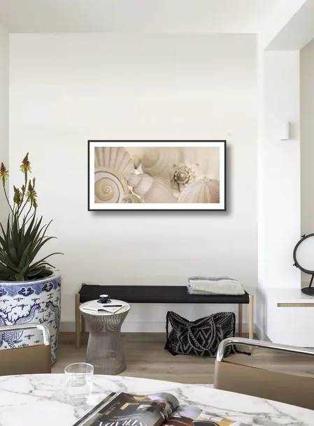 shells-i-jan-lens-plakat-obraz-100x50cm-tematyka-inna-tematyka