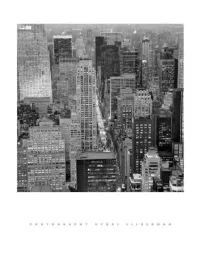 fifth-avenue-at-dusk-henri-silberman-plakat-obraz-60x80cm