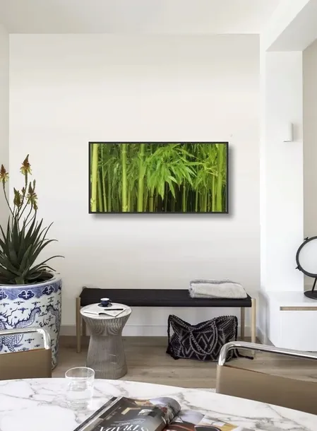 bambu-aukya-plakat-obraz-100x50cm-tematyka-rosliny