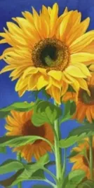 sonnenblummen-am-tag-marianne-bernhardt-plakat-obraz-50x100cm