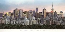new-york-skyline-hank-gans-plakat-obraz-100x50cm