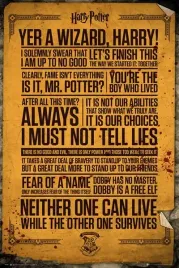 harry-potter-plakat-61x915cm