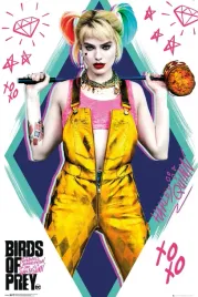 birds-of-prey-ptaki-nocy-plakat-61x915cm