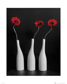 flower-gerberas-bottles-plakat-40x50cm
