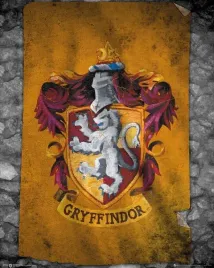 harry-potter-flaga-plakat-40x50cm
