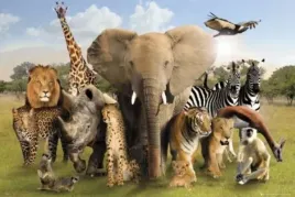 wild-animals-plakat-915x61cm