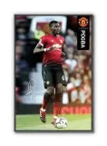 pogba-plakat-61x915cm-stan-nowy