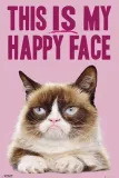 grumpy-cat-plakat-61x915cm