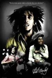bob-marley-destiny-plakat-61x915cm
