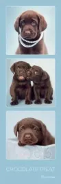 chocolate-treat-plakat-30x90cm