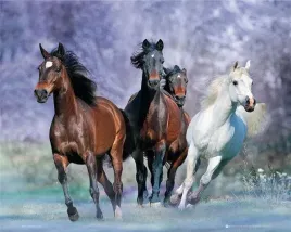 bob-langrish-running-plakat-50x40cm