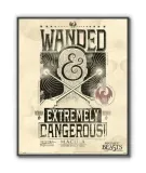 fantastic-beasts-plakat-40x50cm-stan-nowy