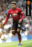 lingard-plakat-61x915cm